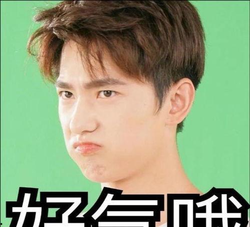 娱乐圈吃瓜少女张小寒